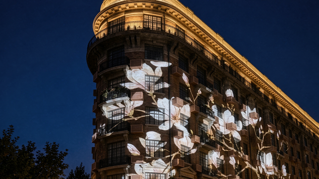 Architectural Projection Design Solution